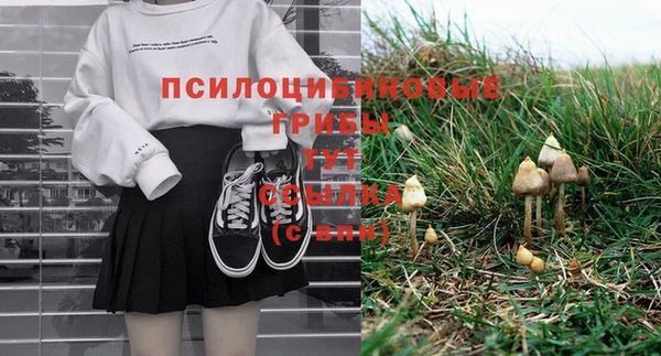 дурь Надым