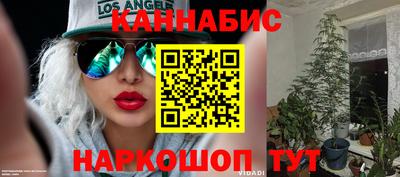 шишки Волжский