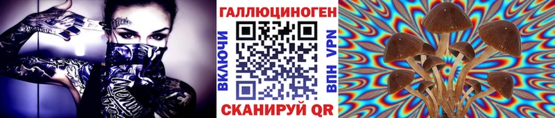 Галлюциногенные грибы Psilocybe  Киров 